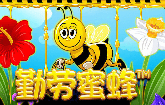 球王会体育